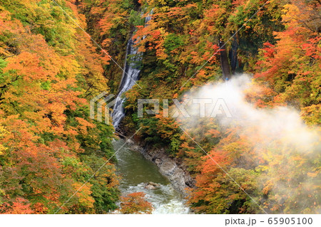 秋田県 小安峡紅葉 秋田県 小安峡紅葉 65905100