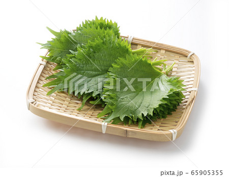 大葉 65905355