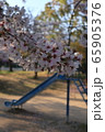 桜と滑り台 65905376