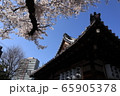 桜と本殿と高層タワー 65905378
