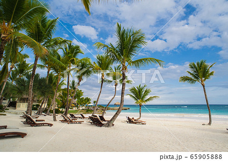 Palm and tropical beach in Tropical Paradise. Summertime holiday in Dominican Republic, Seychelles, Caribbean, Philippines, Bahamas. Relaxing on remote Paradise beach. Luxury Resort on Atlantic ocean. Palm and tropical beach in Tropical Paradise. Summertime holiday in Dominican Republic, Seychelles, Caribbean, Philippines, Bahamas. Relaxing on remote Paradise beach. Luxury Resort on Atlantic ocean. 65905888