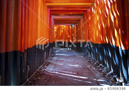 京都府京都市伏見区伏見稲荷大社の千本鳥居の写真素材