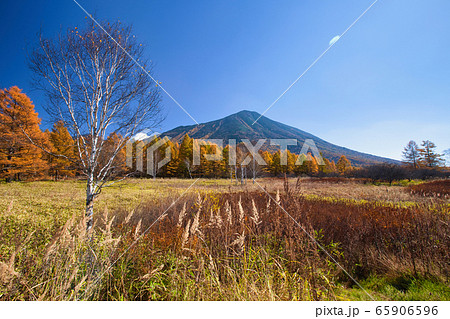 秋の戦場ヶ原 65906596