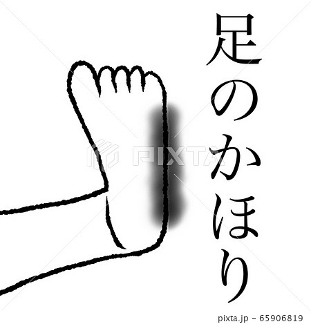 足 65906819