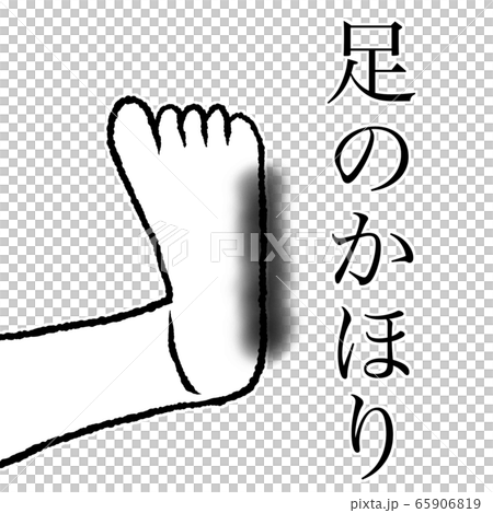 足 65906819