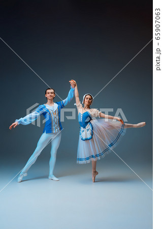 Young and graceful ballet dancers as Cinderella fairytail characters. Young and graceful ballet dancers as Cinderella fairytail characters. 65907063