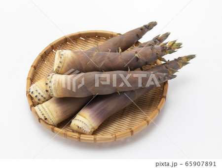 淡竹 淡竹 65907891
