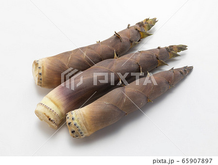 淡竹 淡竹 65907897