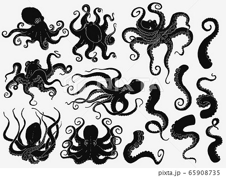 Black octopus silhouette set isolated on white background Black octopus silhouette set isolated on white background 65908735