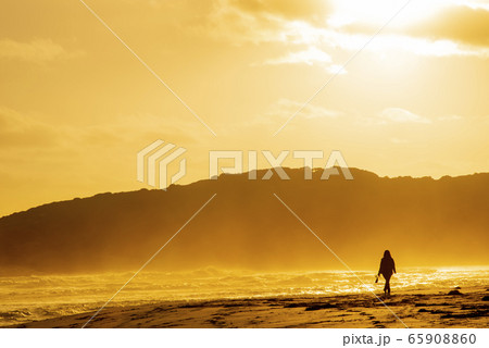海辺の散歩 65908860