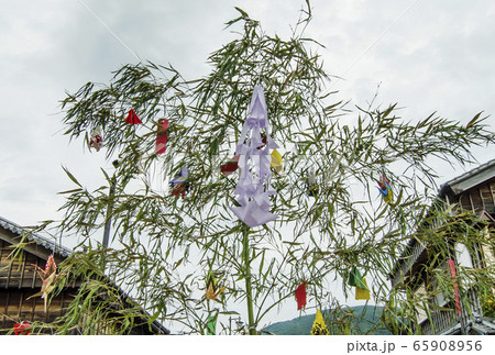 七夕祭り　笹と短冊　七夕飾り　彦星　イメージ素材　 65908956