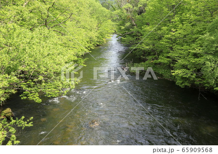 小又川 小又川 65909568