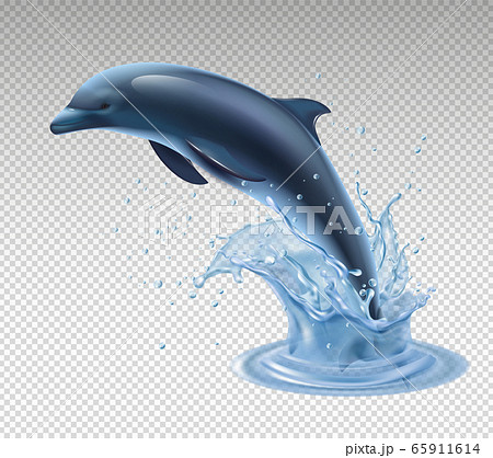Jumping Dolphin Transparent Realistic Iconのイラスト素材