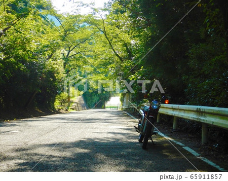 生石山にて　木陰が涼しい円形 65911857