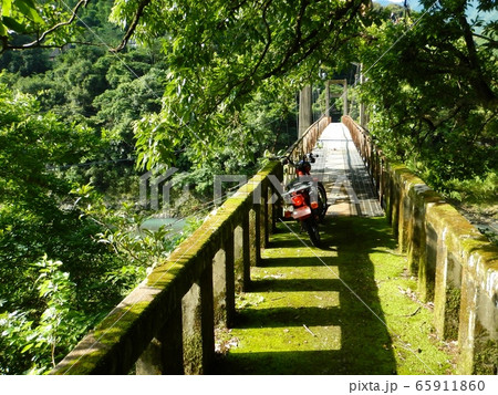 こみちを探検 65911860