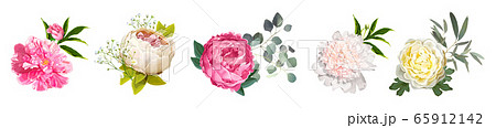 Beautiful flower peony 65912142