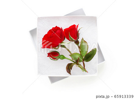 Roses in a white gift box isolated on white 65913339