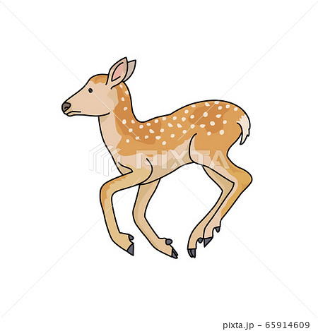 ニホンジカ 子鹿 のイラスト素材
