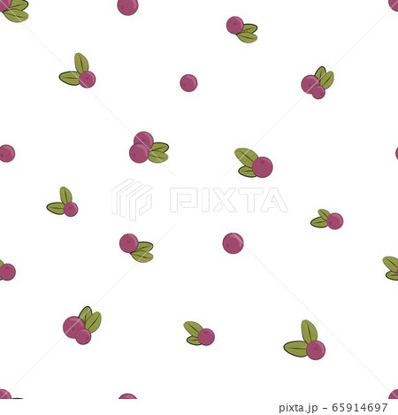 Vector illustration. Cranberry Berry Pattern with Leaves. Vector illustration. Cranberry Berry Pattern with Leaves. 65914697