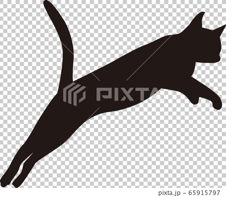 cat jumping silhouette