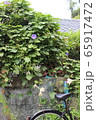 朝顔と自転車 65917472
