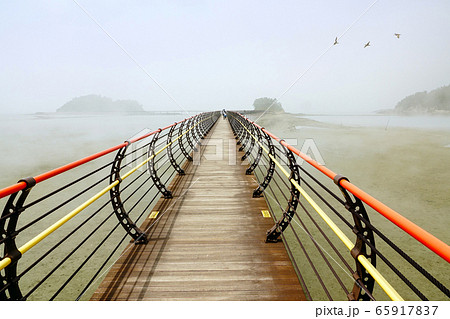 ジャウンド 新案 新安郡 65917837