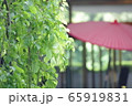 梅雨時期の晴れ間 65919831