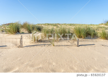 Background summer sky. Top view. Natural background. Scenic travel background. Blue background. Sunset light. Background summer sky. Top view. Natural background. Scenic travel background. Blue background. Sunset light. 65920137
