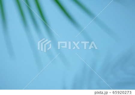 Abstract background of shadows palm leaves on a Abstract background of shadows palm leaves on a 65920273
