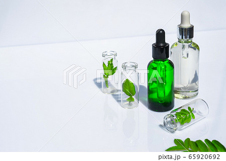 Homeopathic Vegetable Oils. Concept of Organic, Bio Cosmetics and Food Additives 65920692