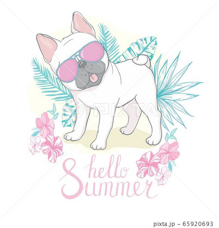 cute french bulldog princess, hand drawn graphic, animal illustration 65920693