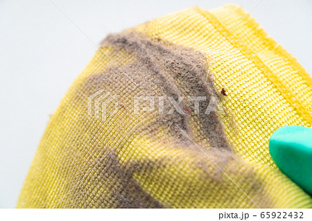 close up dust on a yellow rag after cleaning close up dust on a yellow rag after cleaning 65922432