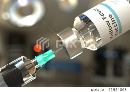 Medical bottle with yellow fever vaccine and syringe, 3D rendering 65924063