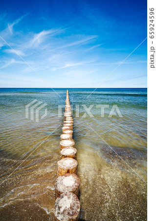 wooden piles overgrown with seaweed in the sea wooden piles overgrown with seaweed in the sea 65924596