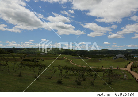 空 雲 王陵 65925434