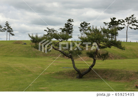 空 雲 王陵 65925435