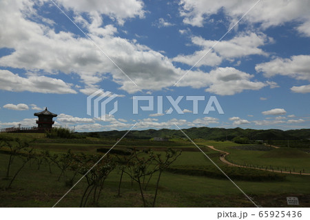 空 雲 王陵 65925436