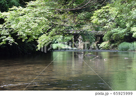 吾平山上稜 65925999