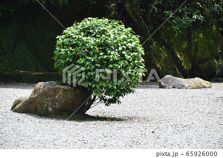 吾平山上稜 吾平山上稜 65926000