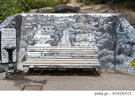 NZ・ボルドウィン ストリート～世界一急な町 65926415