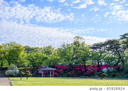 春の千秋公園　秋田市 65926924