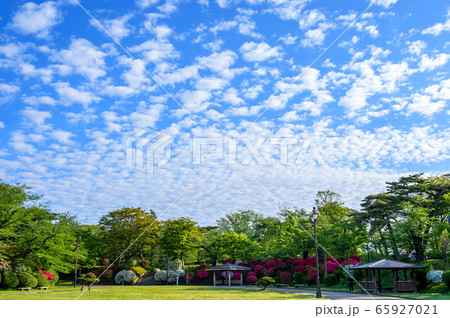 春の千秋公園　秋田市 65927021