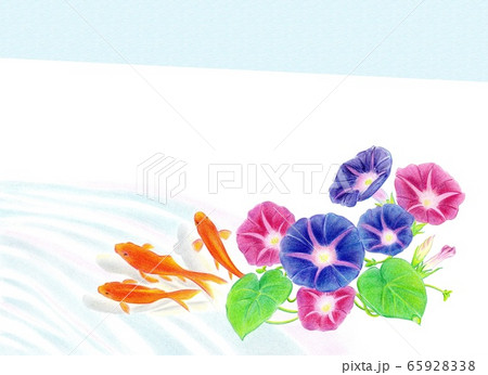 金魚のいる風景 金魚のいる風景 65928338
