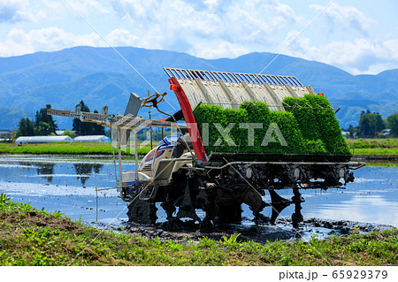 田植機　田植え作業　農業　5月 65929379