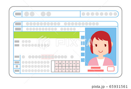 運転免許証の表面 初心者ドライバーの女性のイラストのイラスト素材