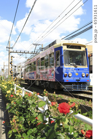 都電荒川線 荒川車庫前付近にて 都電荒川線 荒川車庫前付近にて 65931611