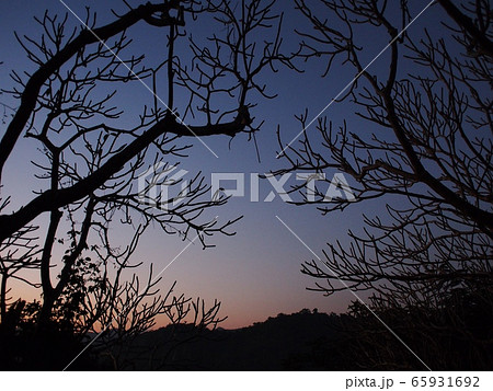 beautiful silhouette with evening landscape scene view background at PHU SI temple above LUANG PRABANG province in LAOS, a cute lovely UNESCO cultural heritage  65931692