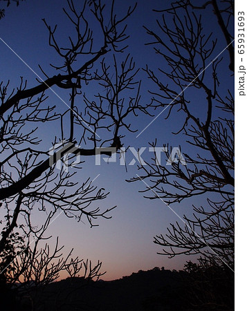 beautiful silhouette with evening landscape scene view background at PHU SI temple above LUANG PRABANG province in LAOS, a cute lovely UNESCO cultural heritage  65931693
