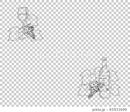 葡萄酒和葡萄線描 65931699