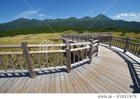 知床五湖の遊歩道から見た知床連山（北海道） 65931979